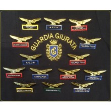 Spilla Distintivo di Specialità Aquila Guardie Giurate Vigilanza GPG IPS Security  Decidi il Ruolo Art.718-TUS